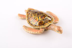 Keren Kopal Brown Sea Turtle