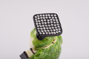 Keren Kopal Frog Graduating Student