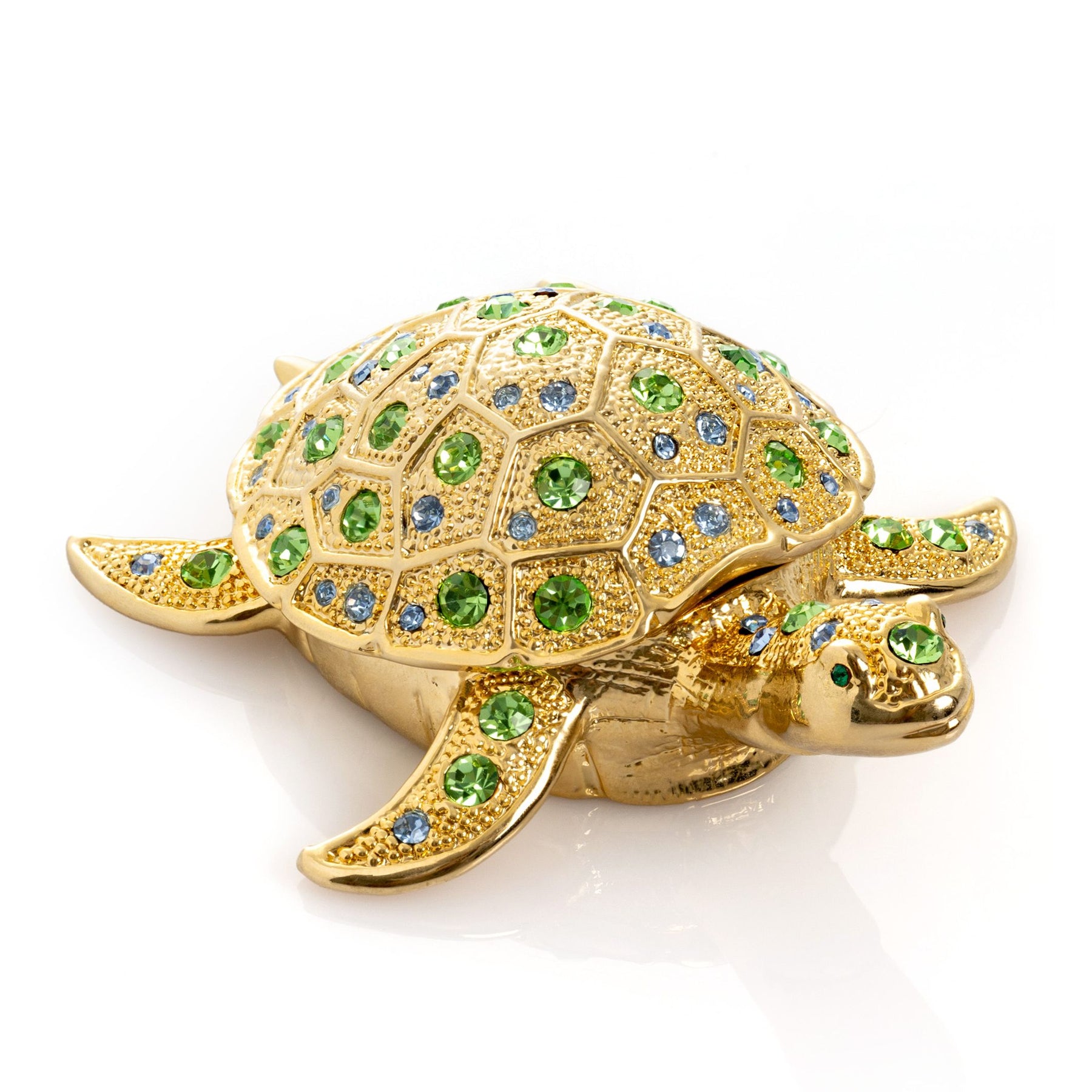 Tortue dorée