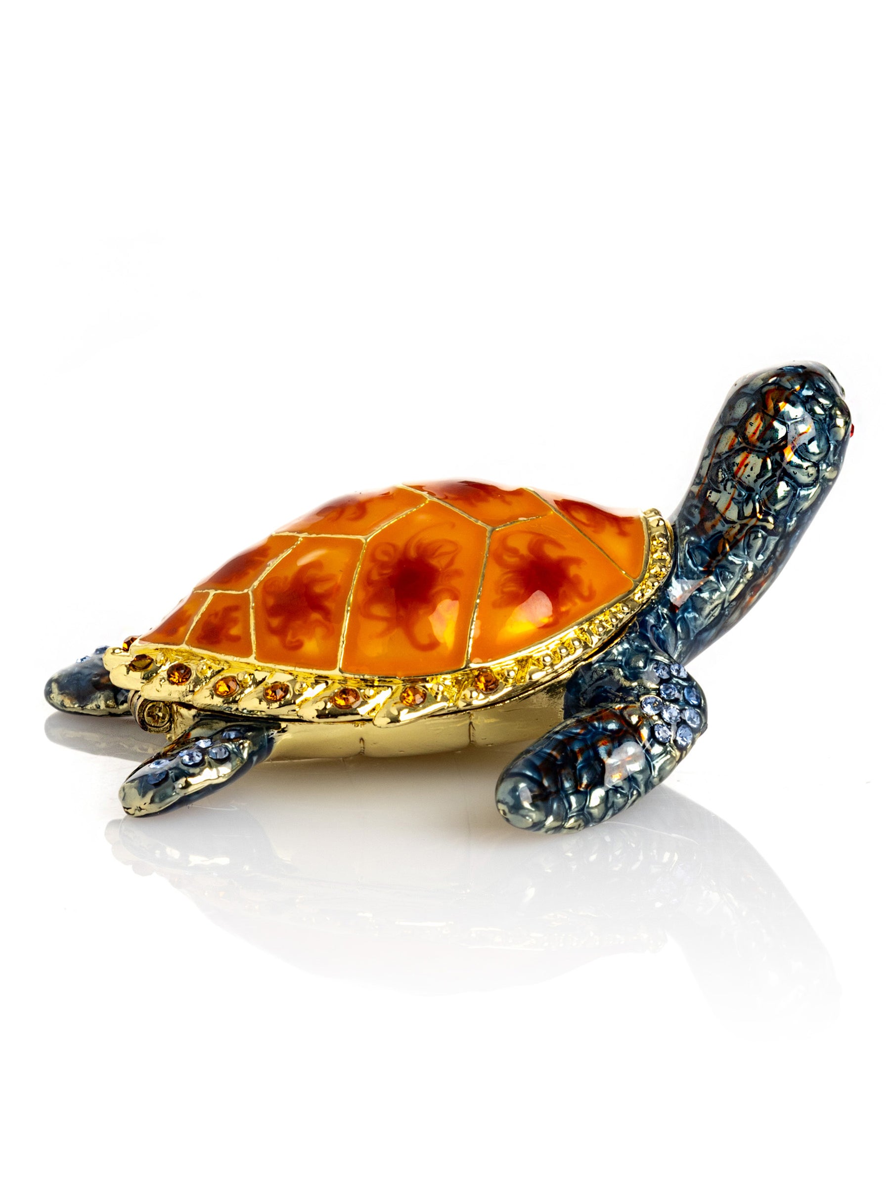 Tortue de mer