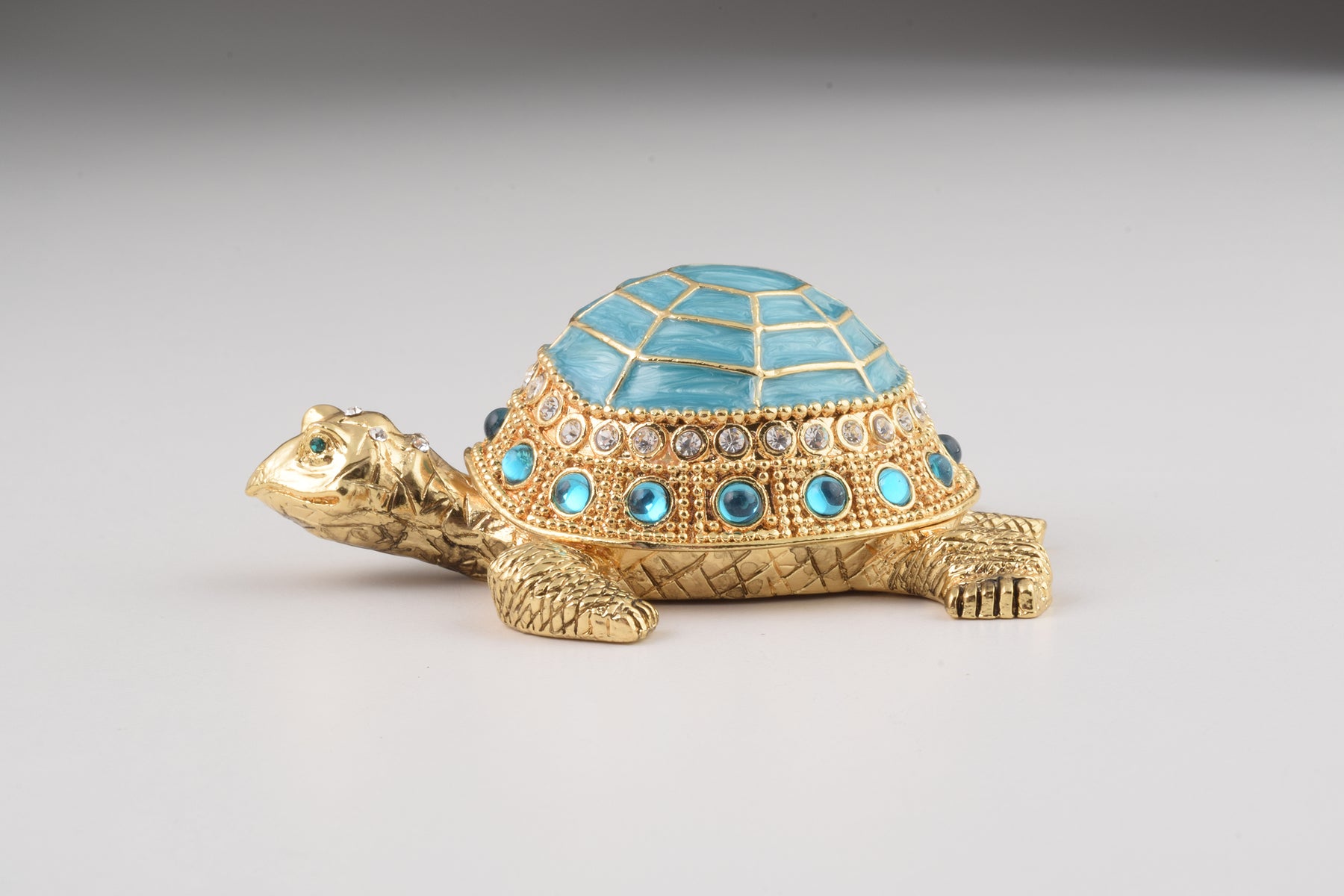 Tortue bleue