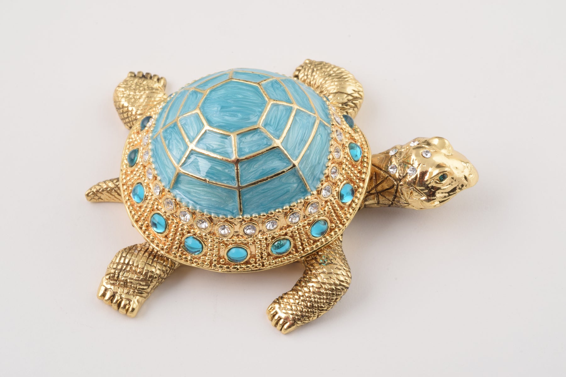 Tortue bleue