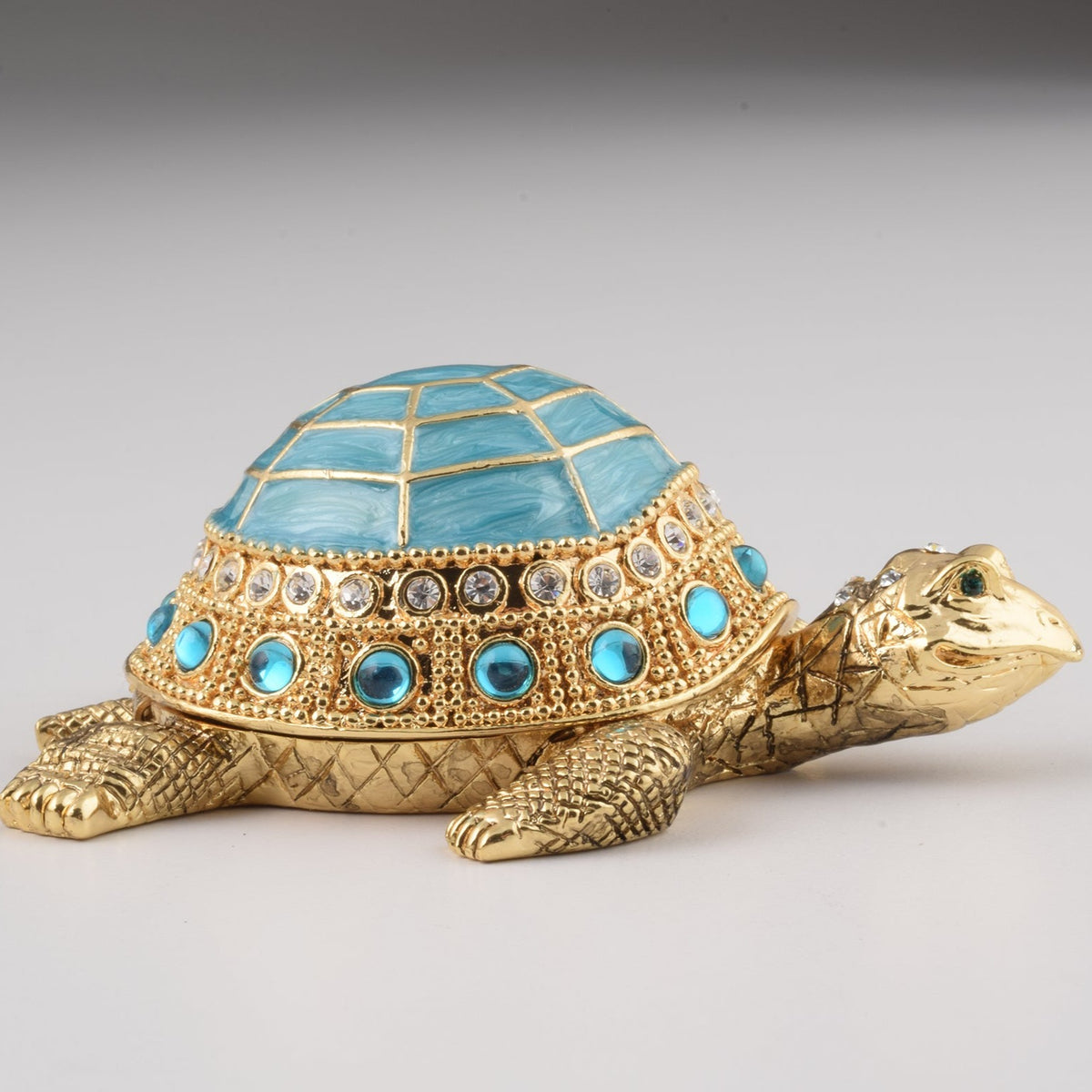 Tortue bleue